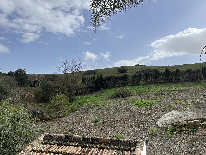 Ri903-Finca-Curro-Rio-grande (24)