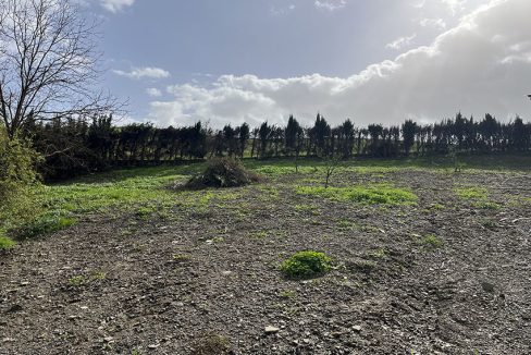 Ri903-Finca-Curro-Rio-grande (5)