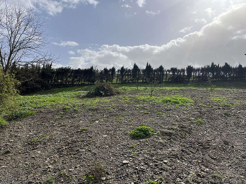 Ri903-Finca-Curro-Rio-grande (5)