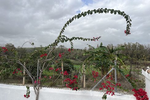 Ri903-Finca-Curro-Rio-grande (7)