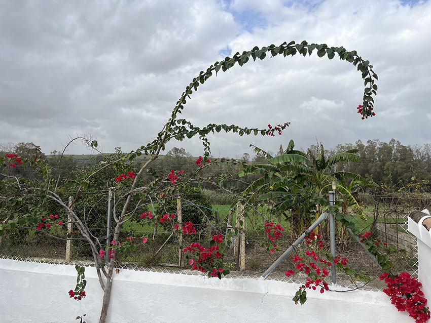 Ri903-Finca-Curro-Rio-grande (7)