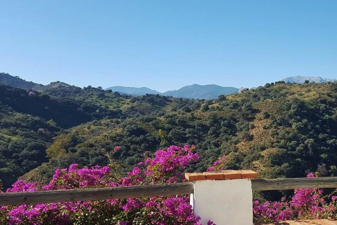 RiS132-Our-house-Cortijo-Benitez (2a)