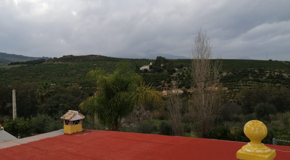 Ri588-Finca-Pepe-Puerto-Falso (24)