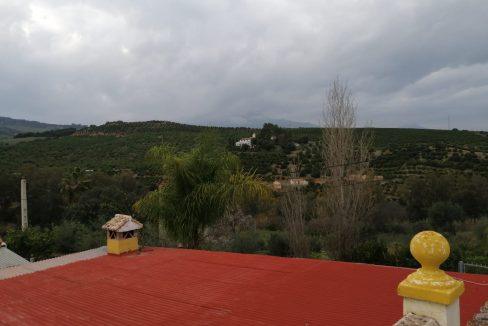 Ri588-Finca-Pepe-Puerto-Falso (24)