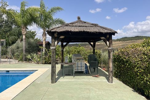 Ri950-Finca-Francisco-Puerto-Falso (2)