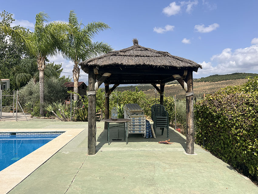 Ri950-Finca-Francisco-Puerto-Falso (2)