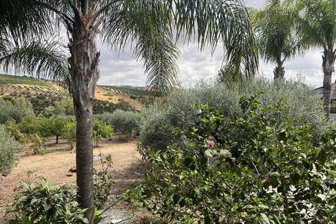 Ri950-Finca-Francisco-Puerto-Falso (21)