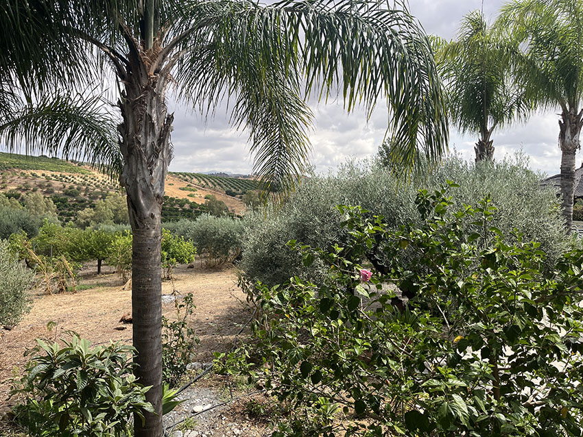 Ri950-Finca-Francisco-Puerto-Falso (21)