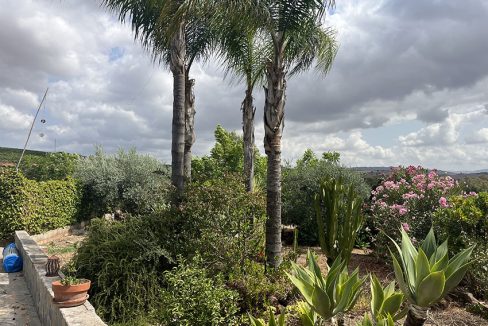 Ri950-Finca-Francisco-Puerto-Falso (24)