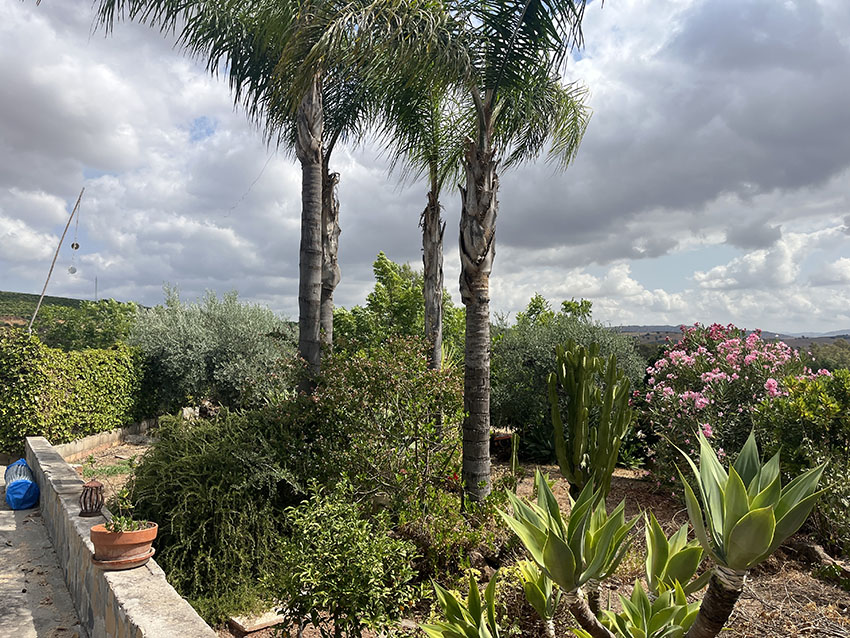 Ri950-Finca-Francisco-Puerto-Falso (24)