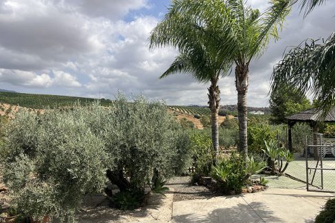 Ri950-Finca-Francisco-Puerto-Falso (5)