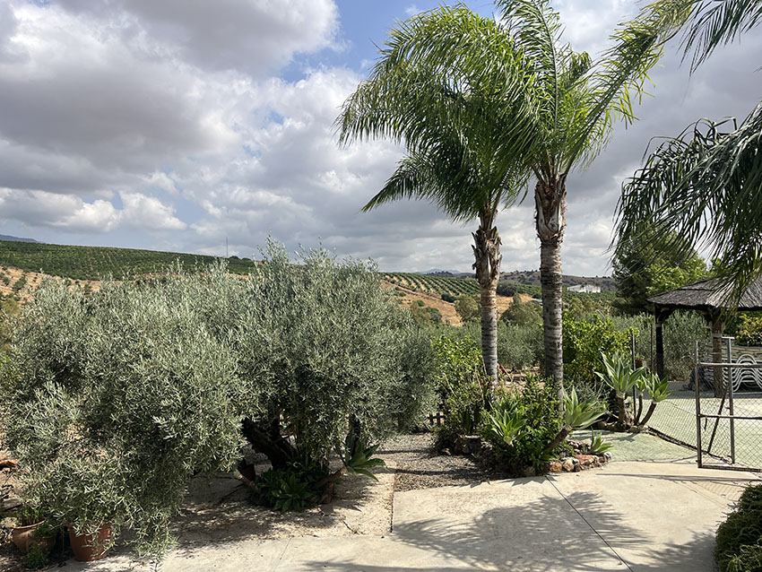 Ri950-Finca-Francisco-Puerto-Falso (5)