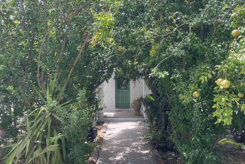 RiS354-Finca-Katja-San-Ambrosio-04