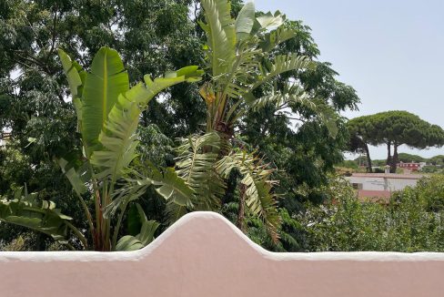 RiS354-Finca-Katja-San-Ambrosio-28