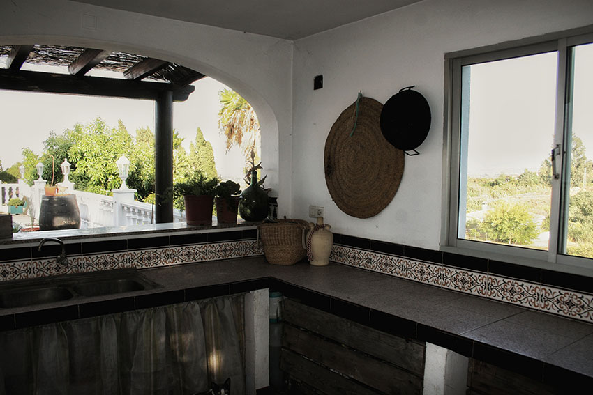 Ri1004-Finca-Antonio-HN (4).jpeg