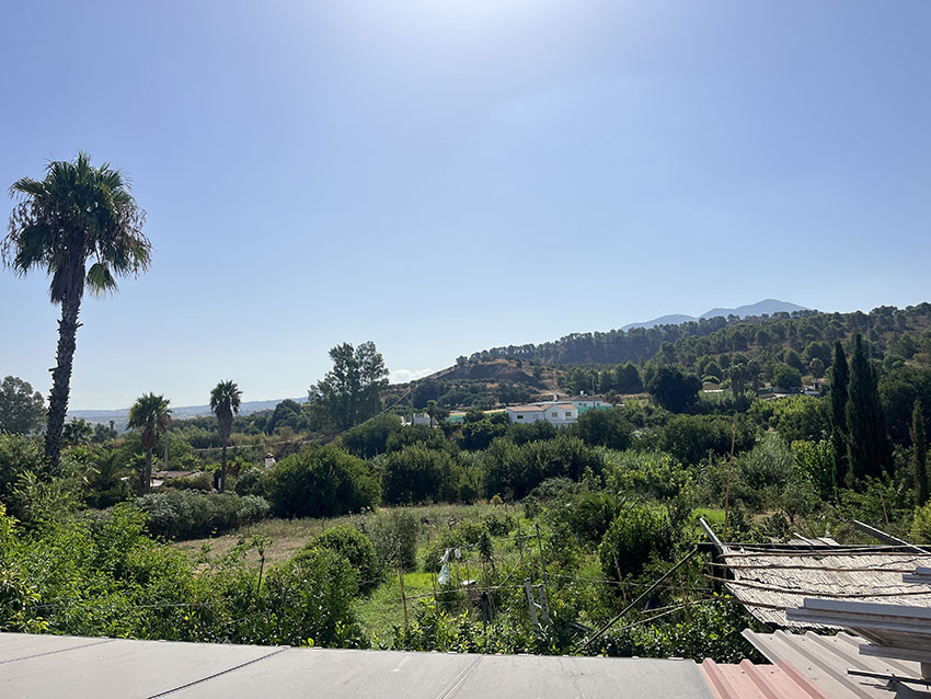 Ri1004-Finca-Antonio-HN (9)
