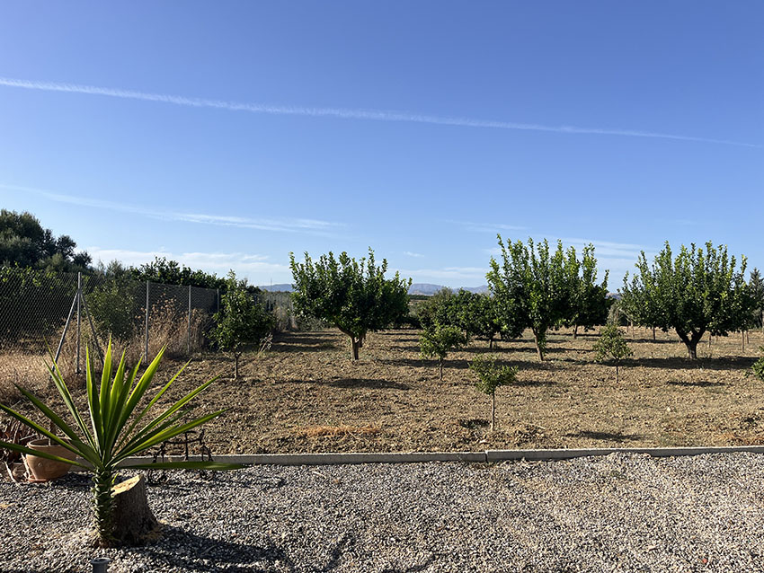 Ri1006-Finca-Carlos-Fuente-Sol (21)