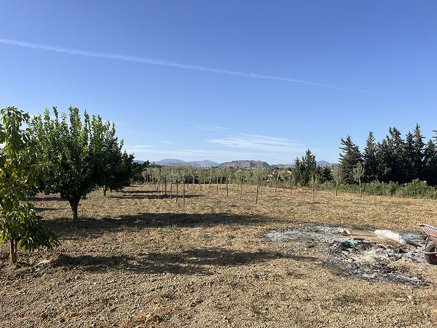 Ri1006-Finca-Carlos-Fuente-Sol (22)