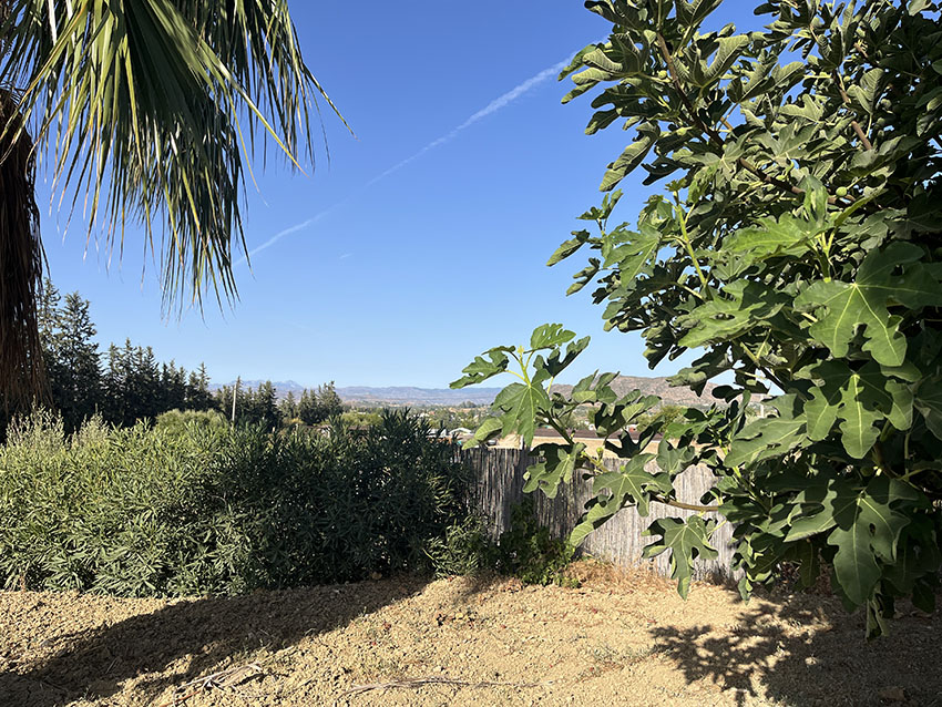 Ri1006-Finca-Carlos-Fuente-Sol (3)