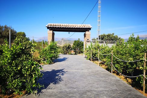 Ri765-Finca-Rosa-Carranque (21)
