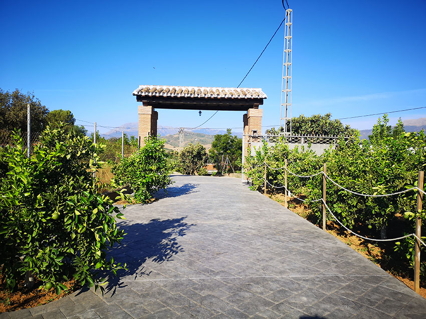 Ri765-Finca-Rosa-Carranque (21)