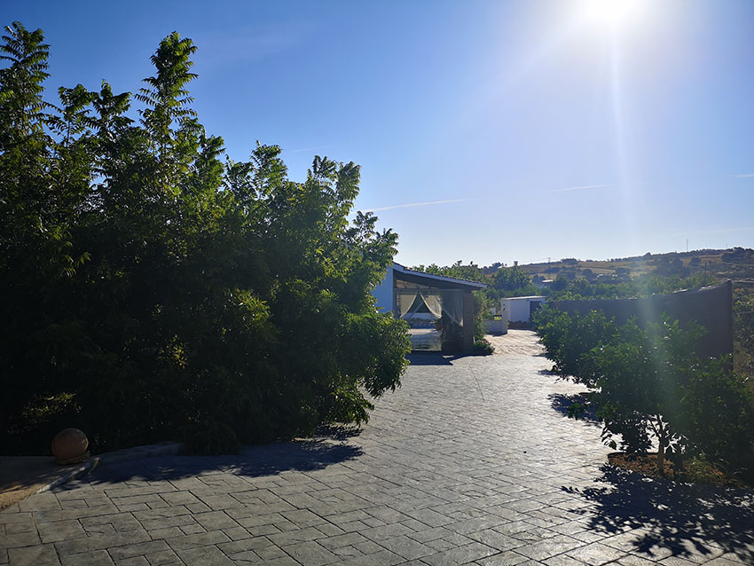 Ri765-Finca-Rosa-Carranque (22)