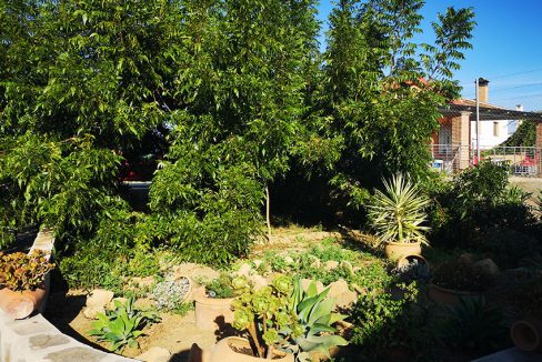 Ri765-Finca-Rosa-Carranque (24)