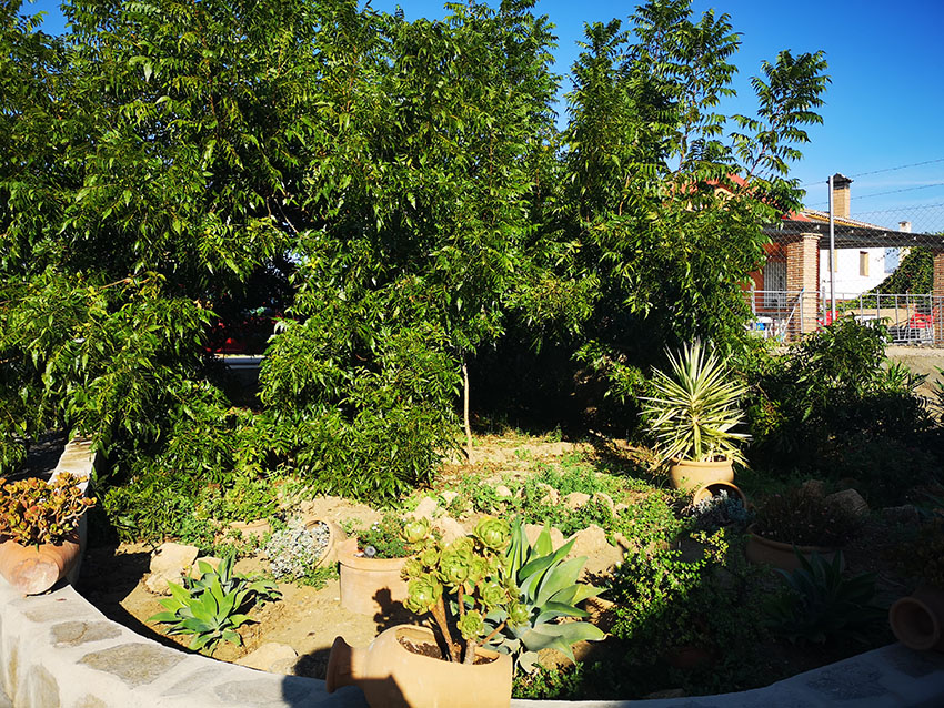 Ri765-Finca-Rosa-Carranque (24)