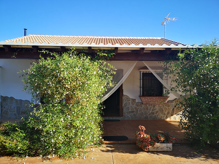 Ri765-Finca-Rosa-Carranque (26)