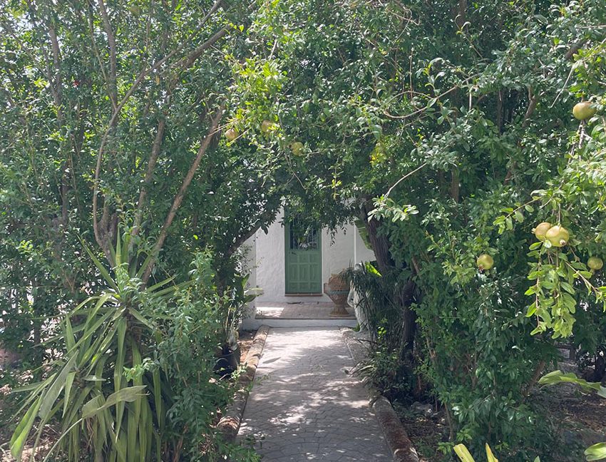 RiS354-Finca-Katja-San-Ambrosio (1a).jpeg