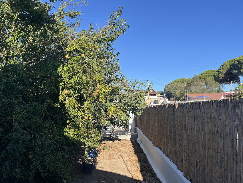 RiS354-Finca-Katja-San-Ambrosio (28)