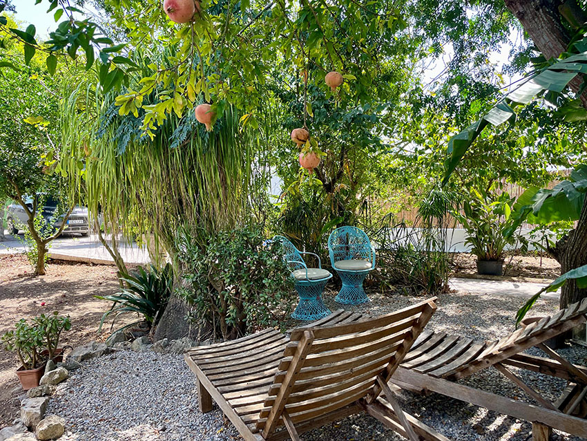 RiS354-Finca-Katja-San-Ambrosio (3)