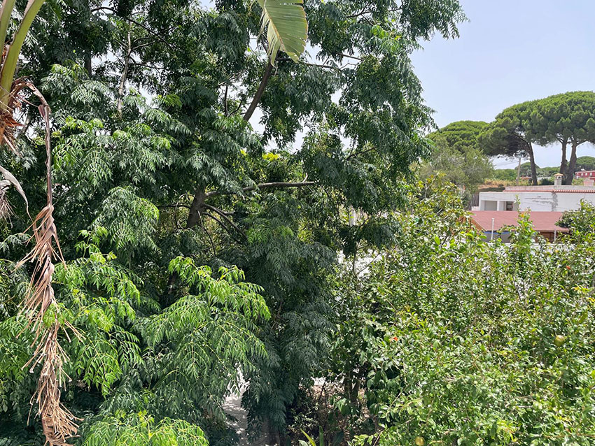 RiS354-Finca-Katja-San-Ambrosio (7).jpeg