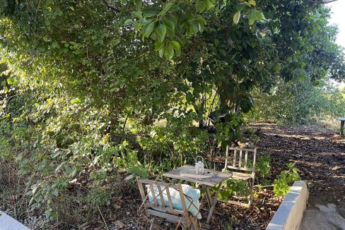 Ri1010-Finca-Natalia-Cmno-Vieja-Malaga (5)