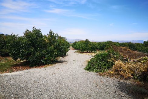 Ri681-Finca-MaJose-Borajo (36)