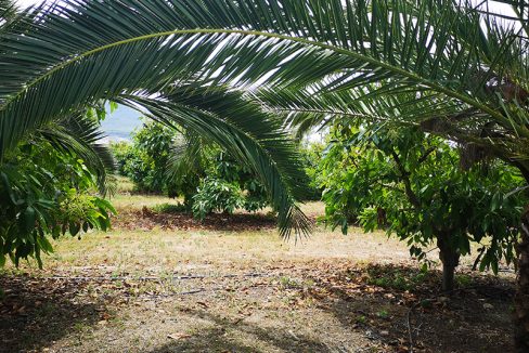 Ri681-Finca-MaJose-Borajo (37)