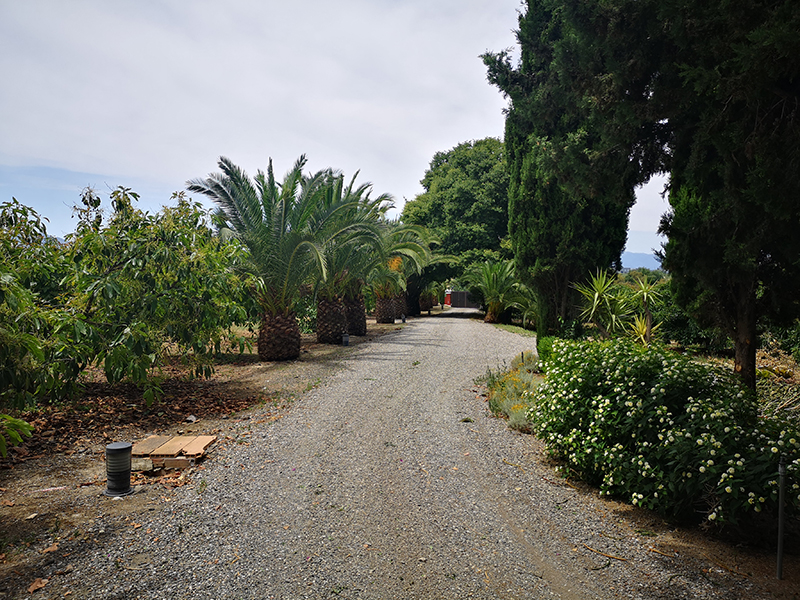 Ri681-Finca-MaJose-Borajo (38)