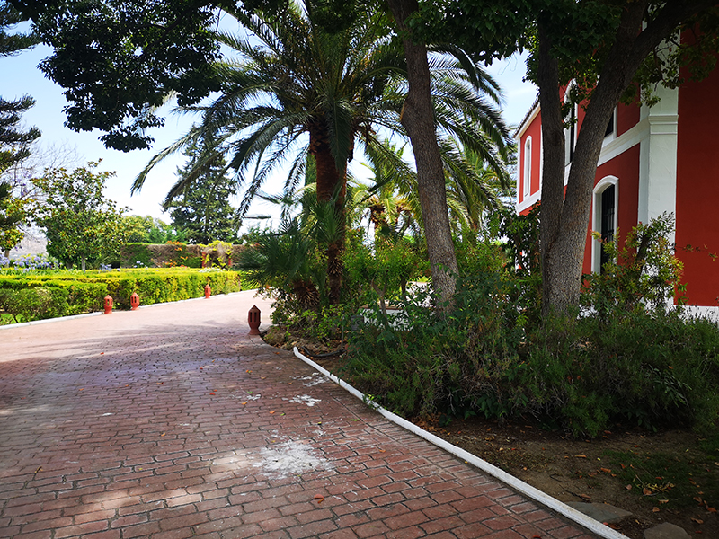 Ri681-Finca-MaJose-Borajo (39)