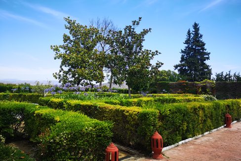 Ri681-Finca-MaJose-Borajo (41)